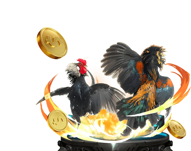 Tổng quan quy tắc chung b52